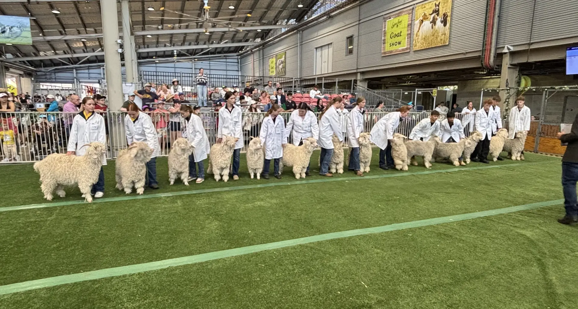 Narrandera High most successful school with Angora goats and mohair
