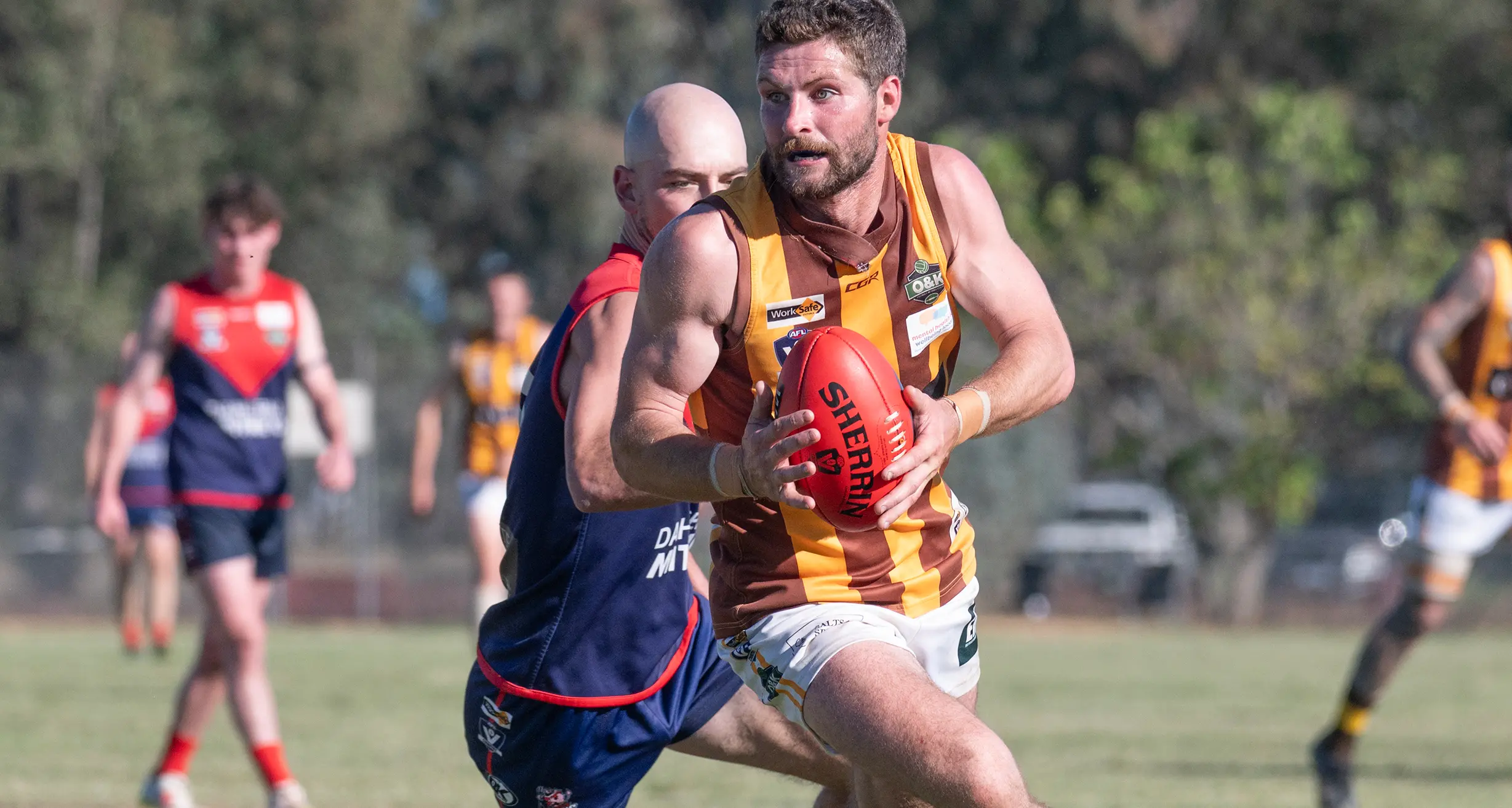 Hawks send statement with defensive masterclass over Dees