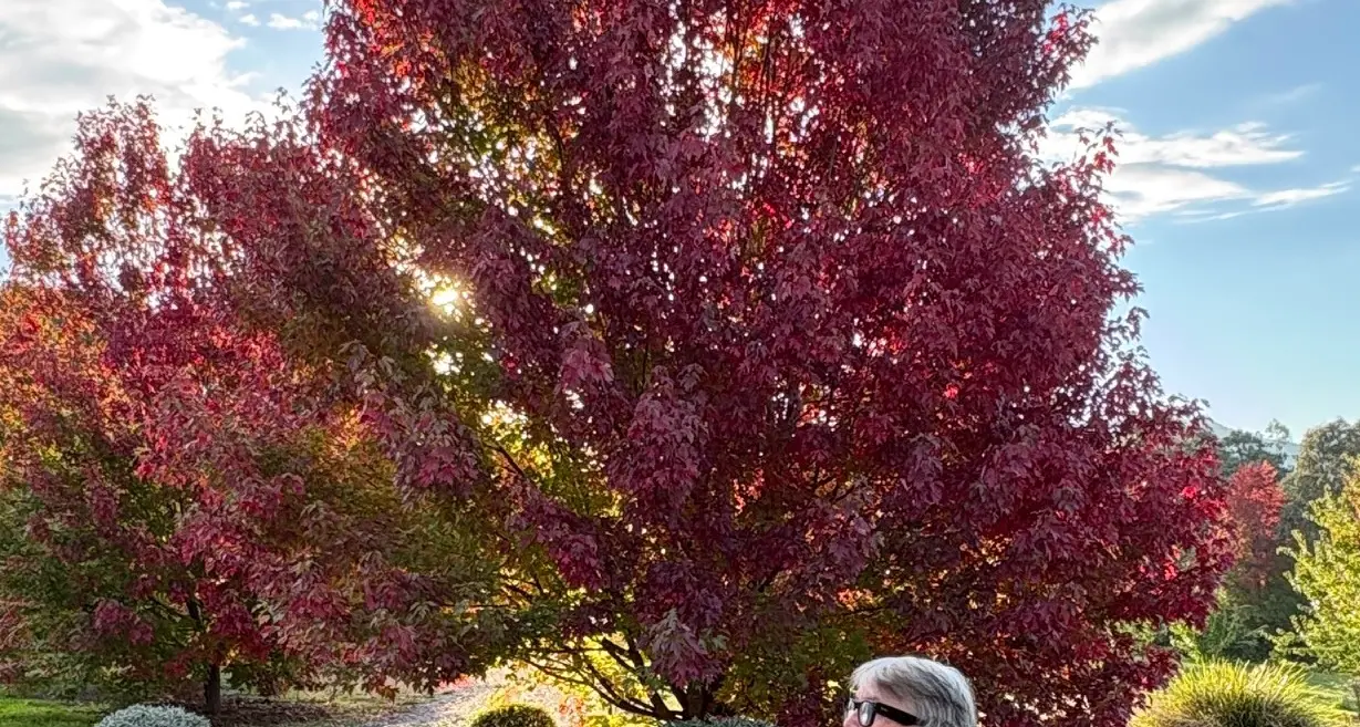 Indigo Interview: A life enriched by friendships