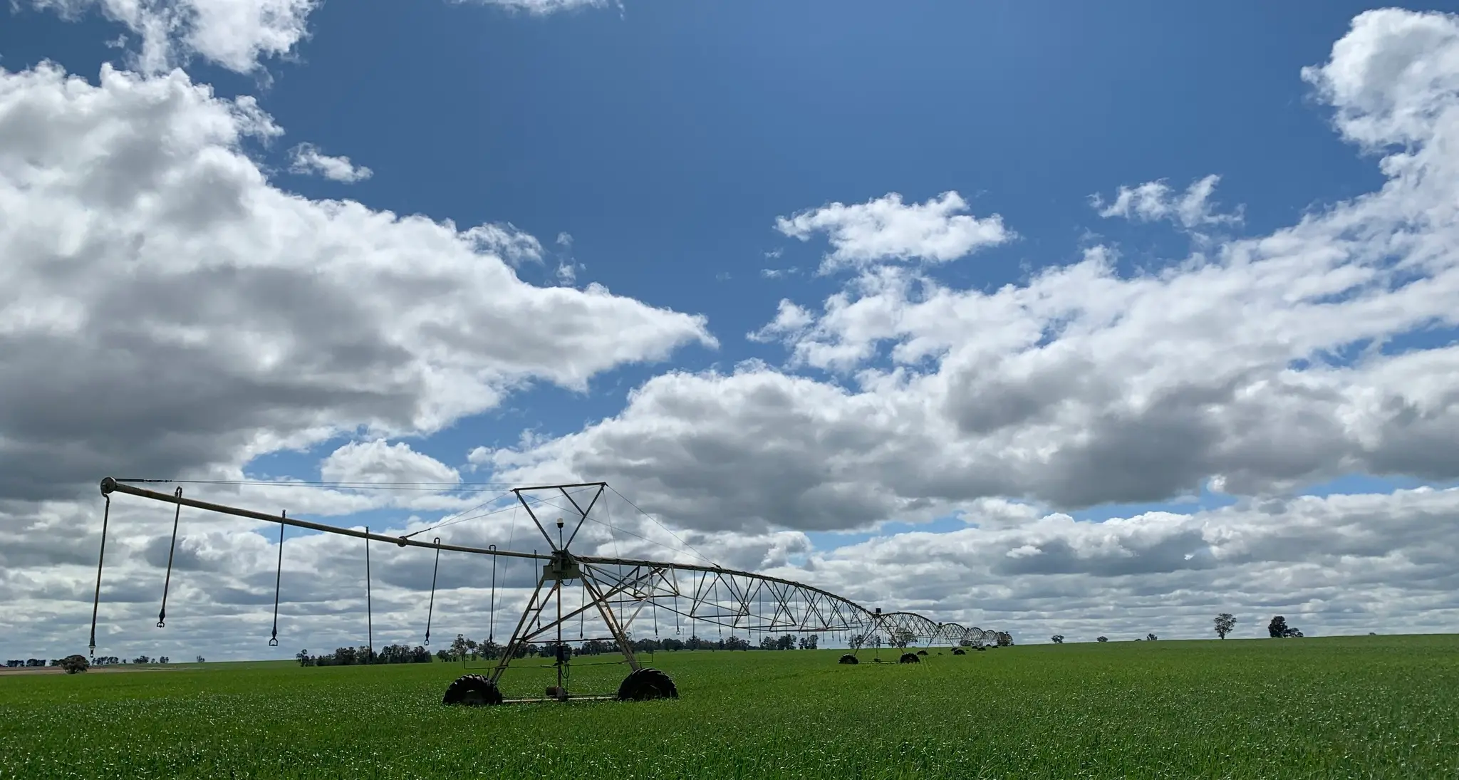 Water reductions put farms, food and communities at risk