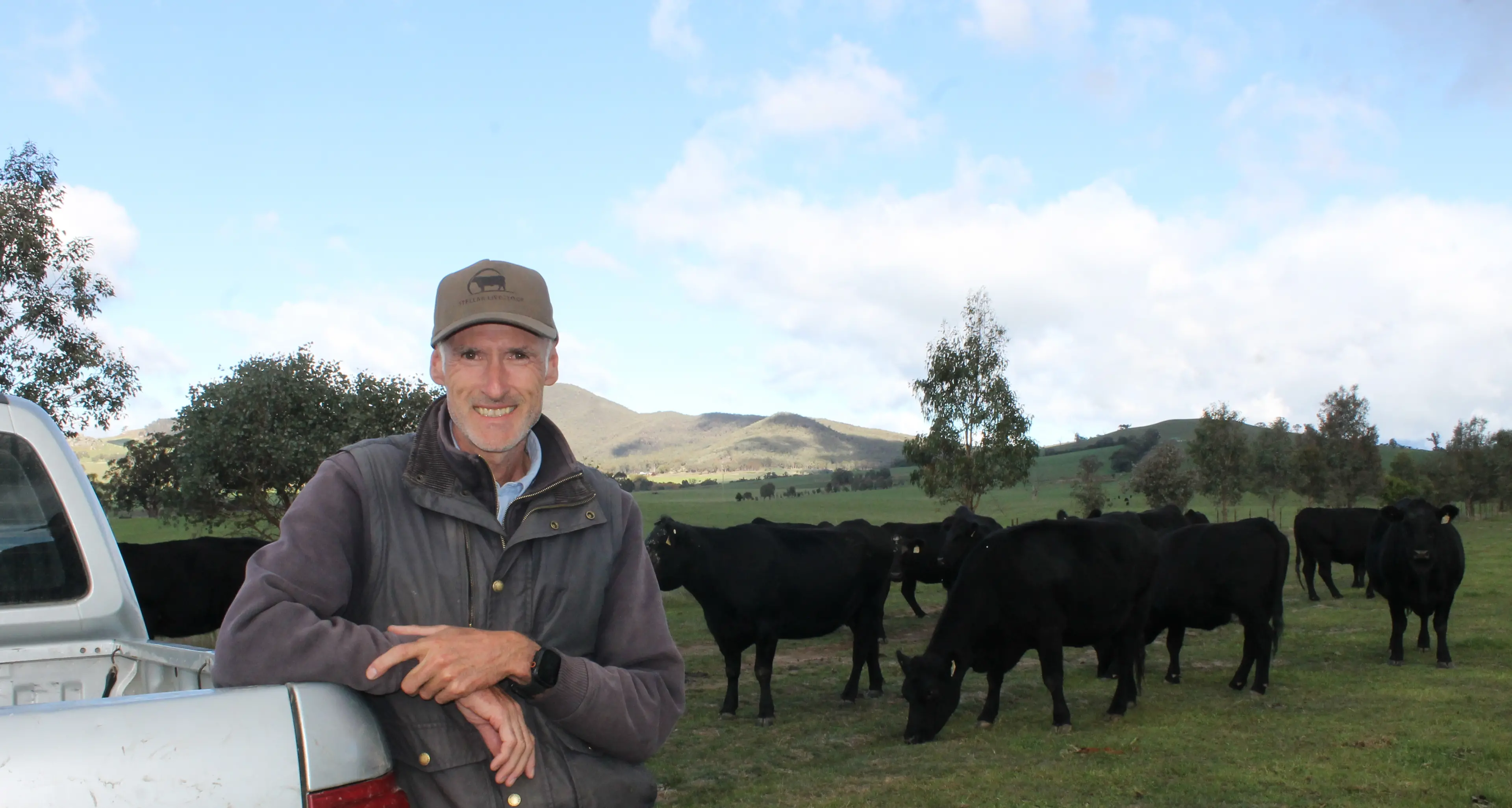 Annual autumn cattle sale drives donations for Do It For Dolly Day