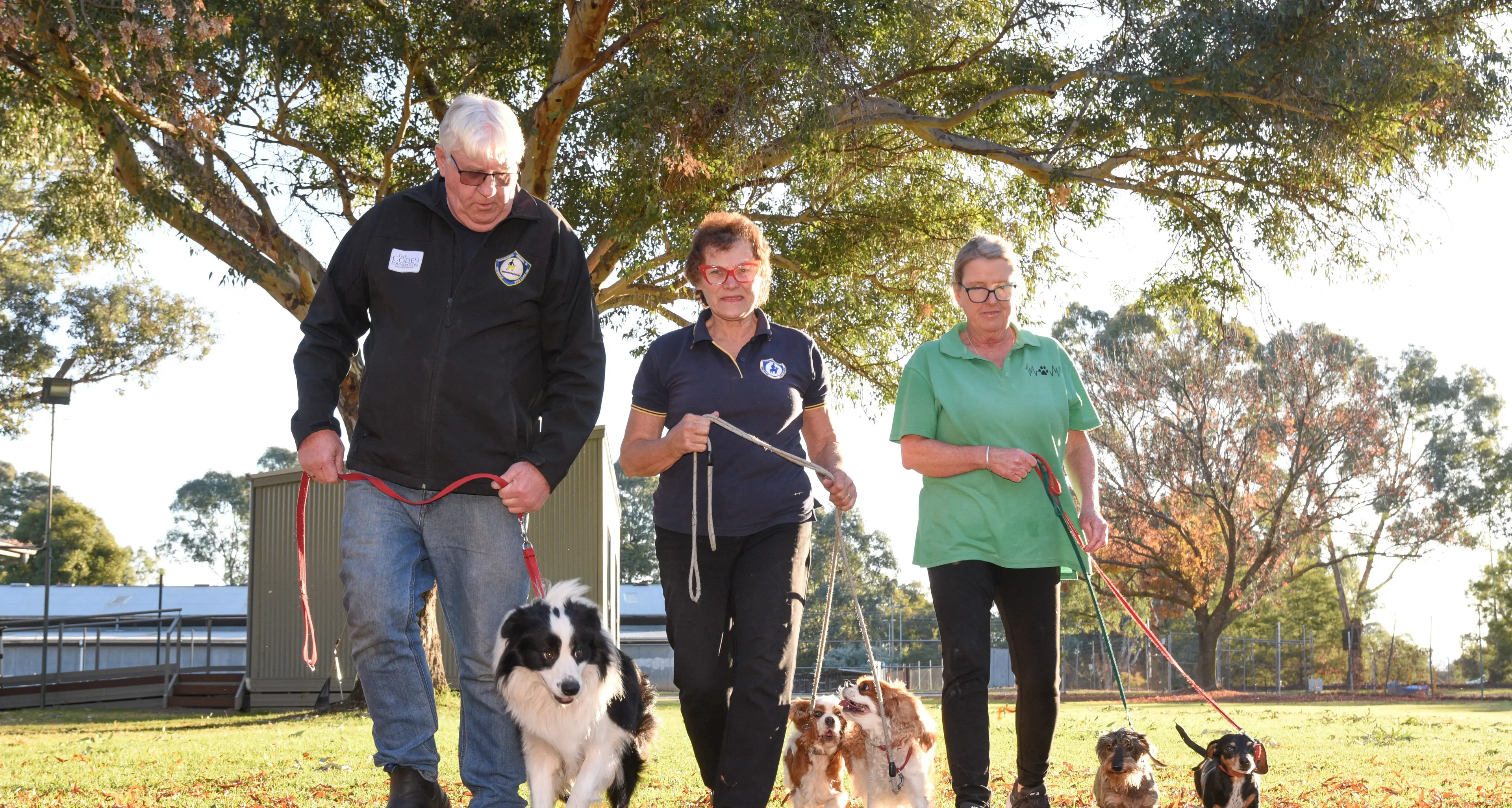 Wangaratta dog owners urged to follow leash rules