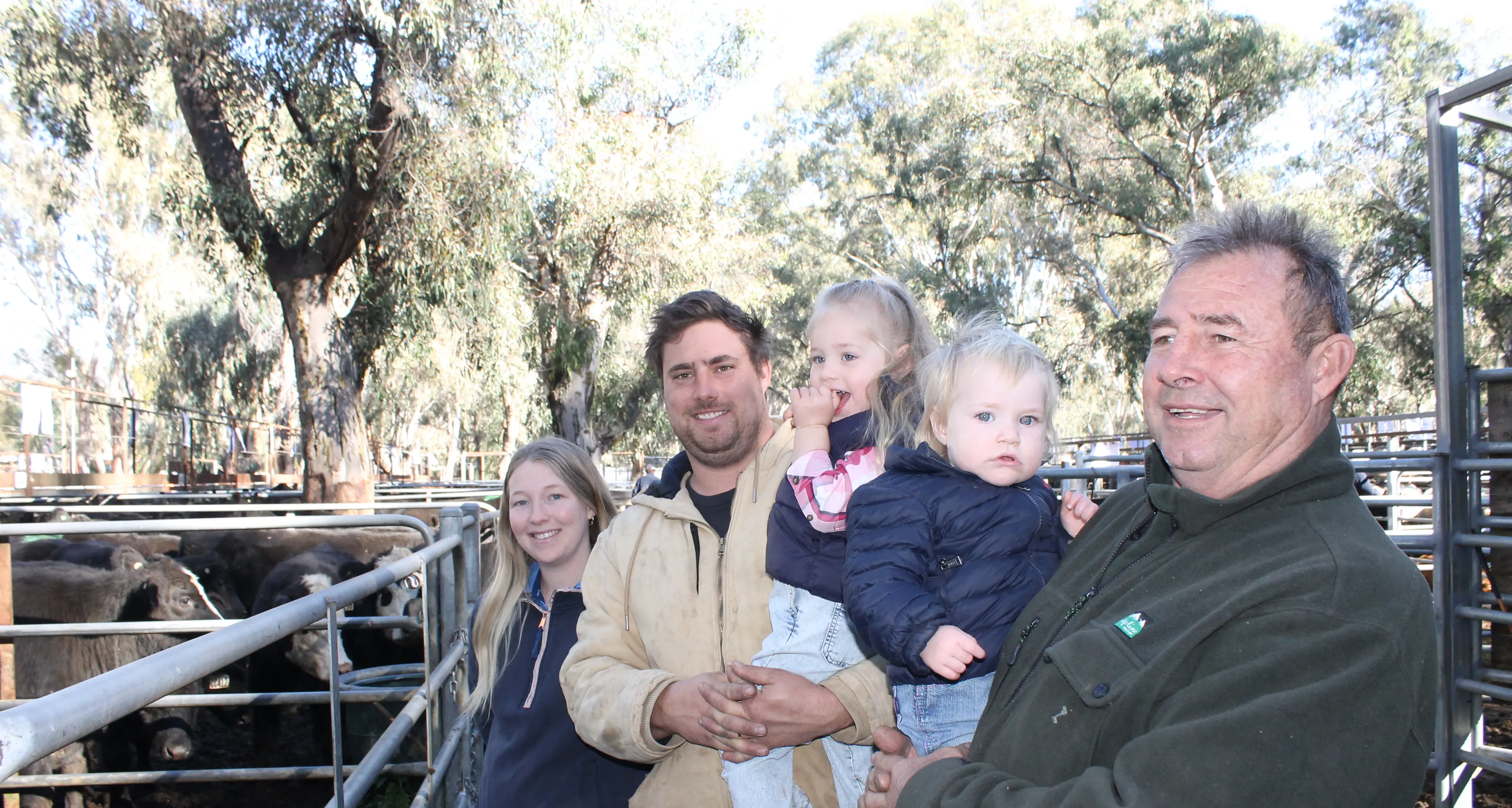 Solid cattle market, with more than $3.3m swapping hands