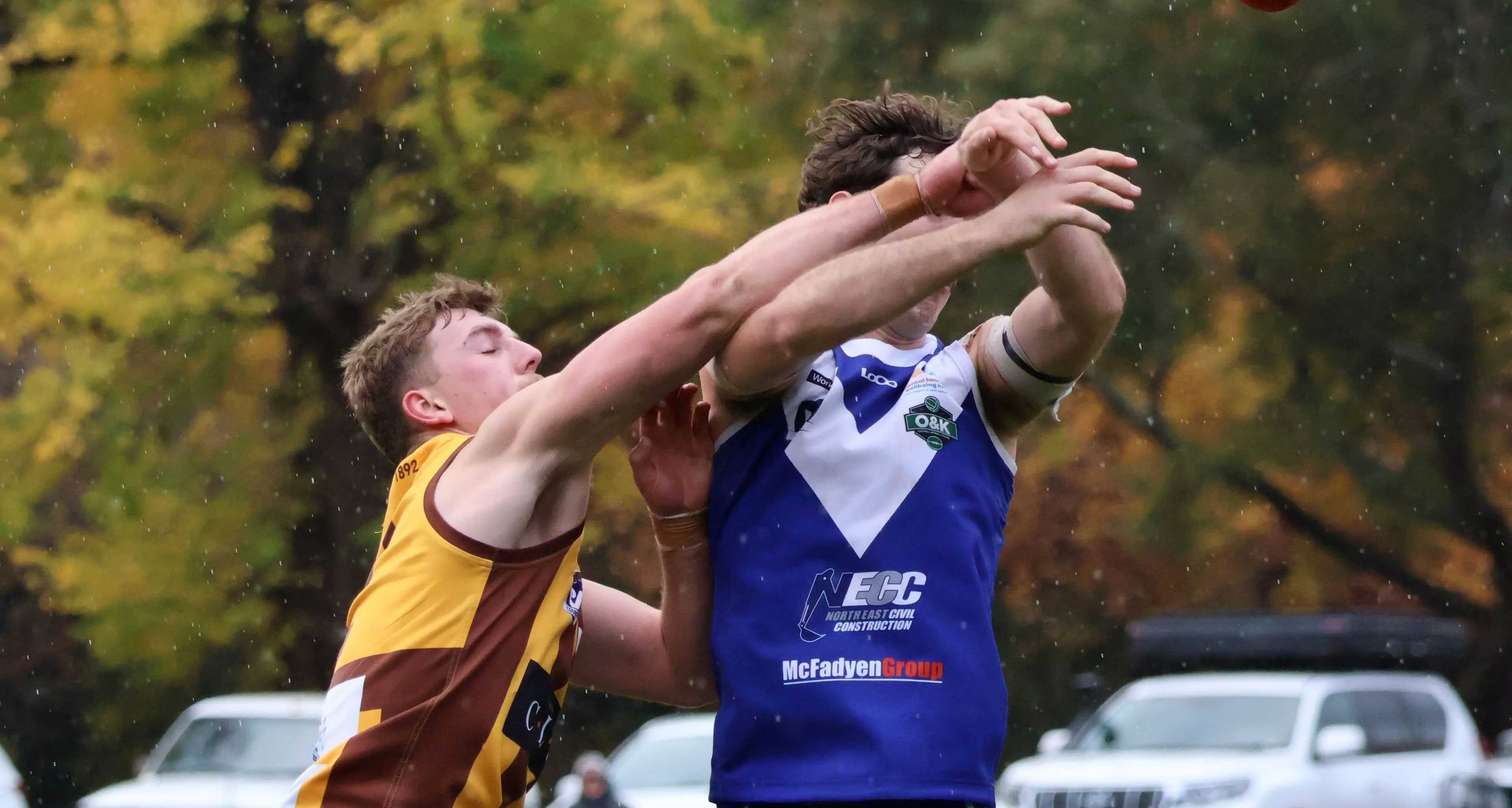 North Wang knock off premiers for second time, Lions get even with Hoppers