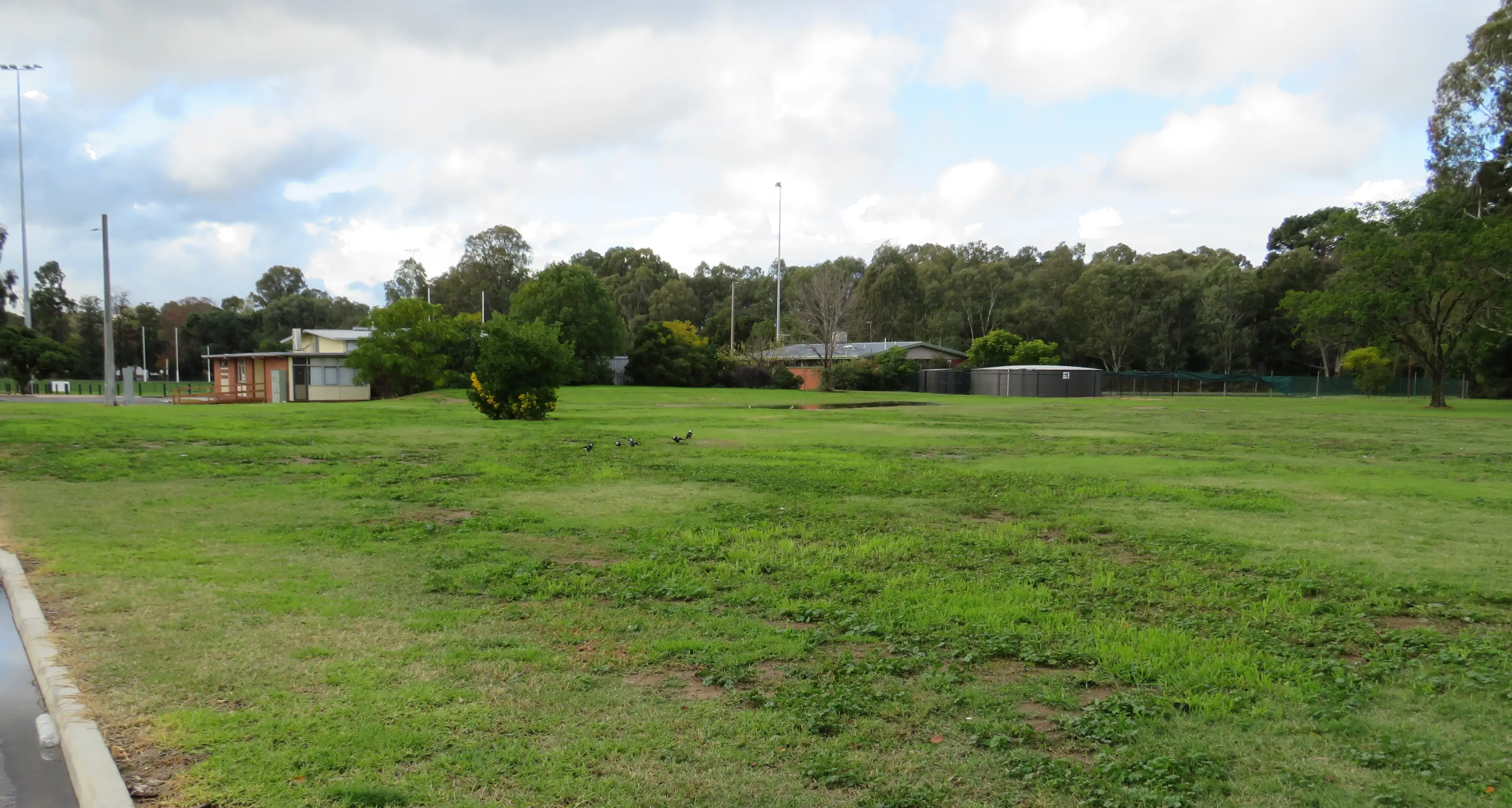 Wareena Park hub design covered in budget
