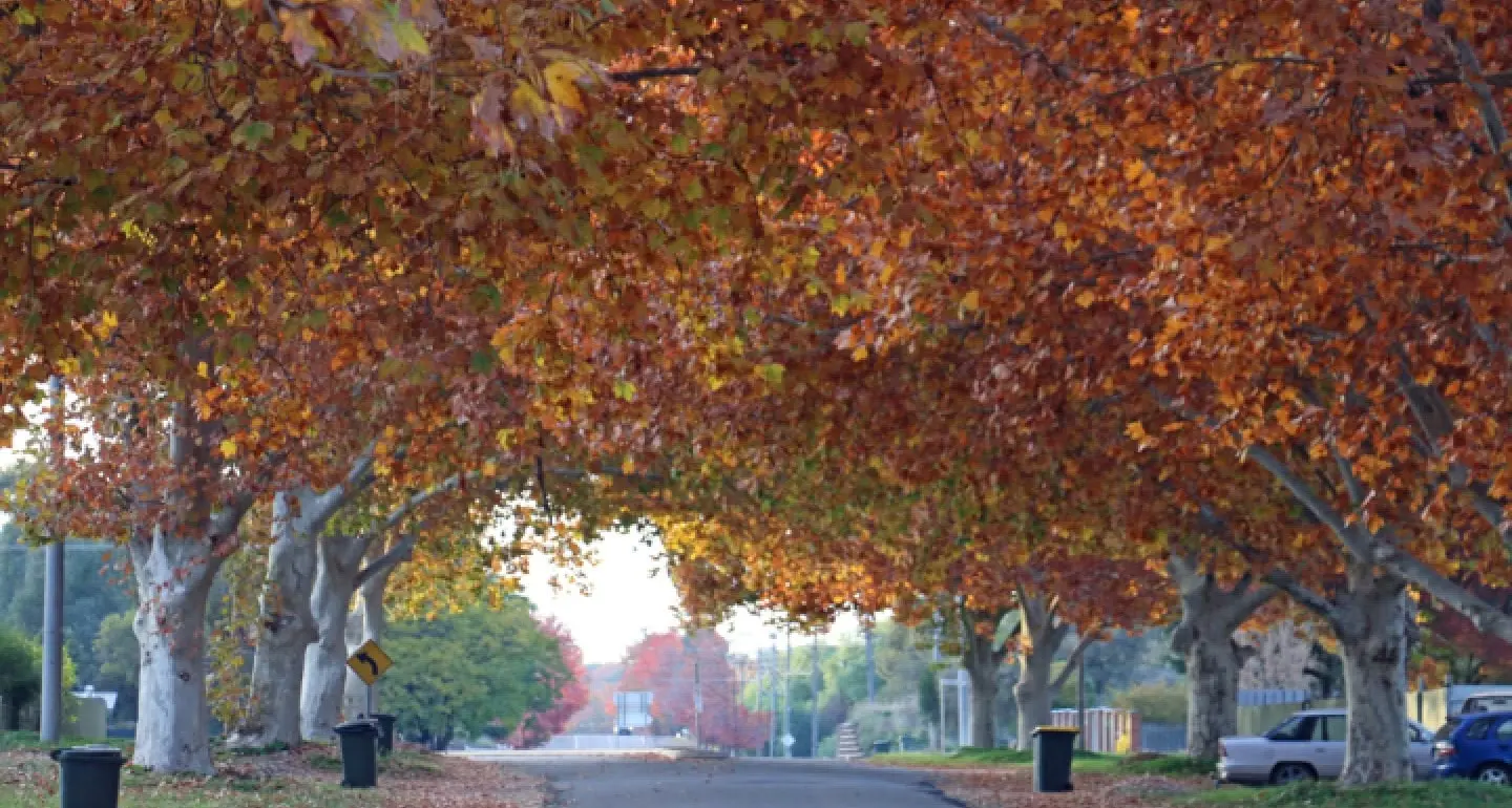 Extreme temperatures for Autumn