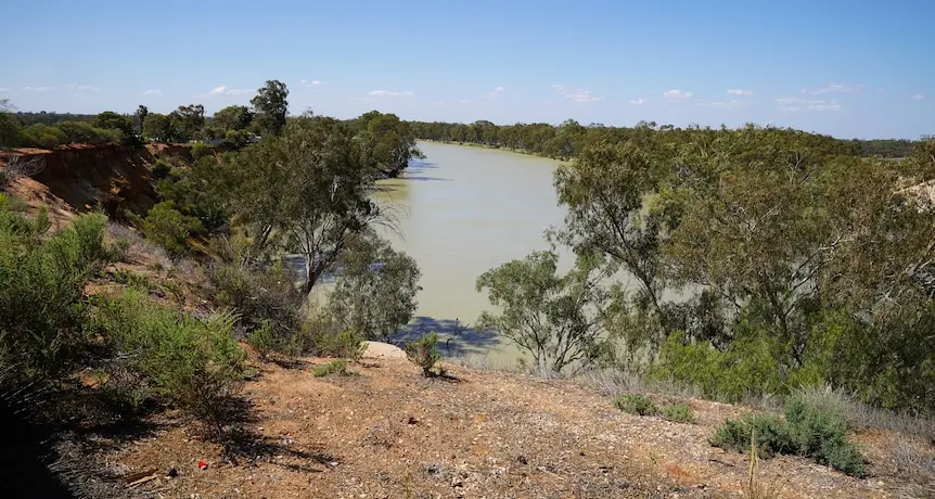 Basin Plan Review must secure Australia’s food and fibre future