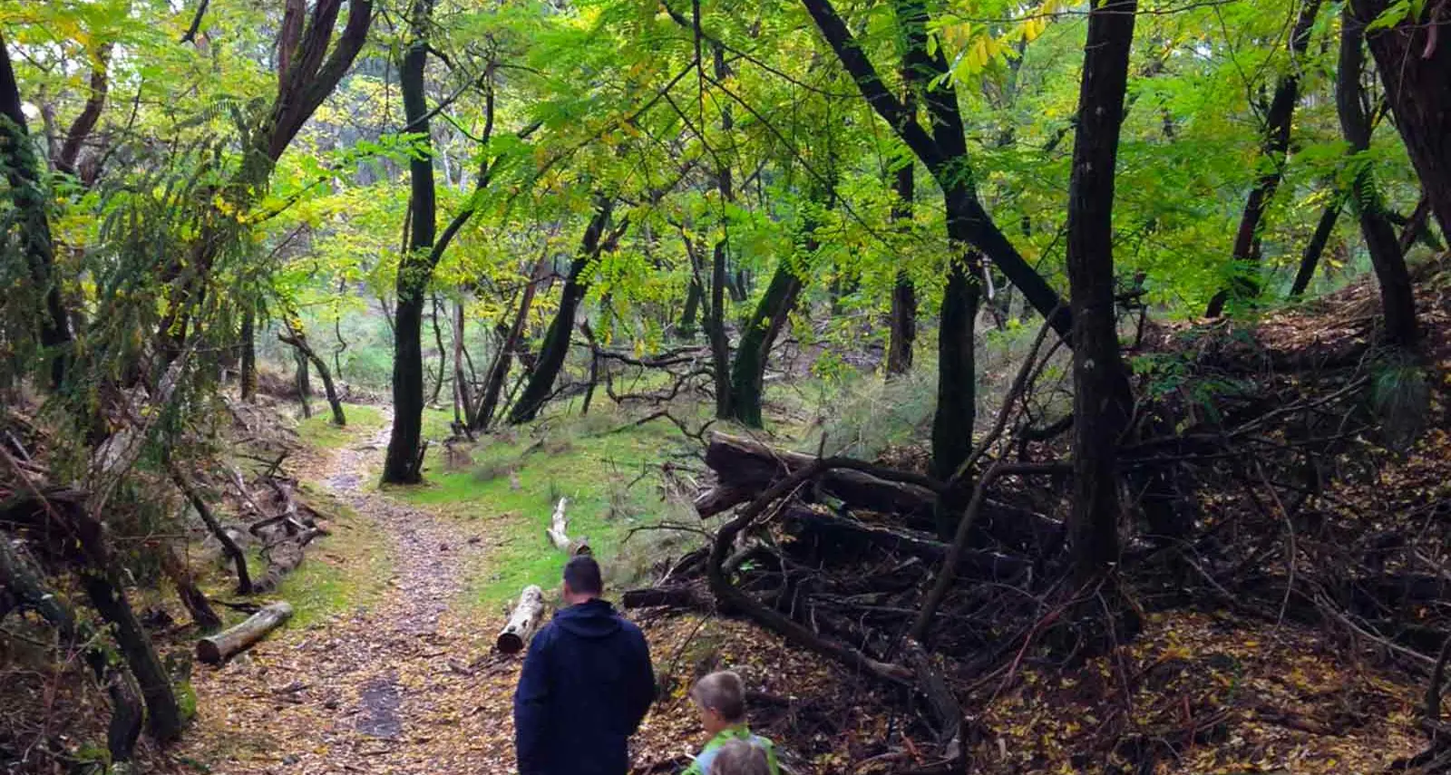 Dangerous section of Beechworth track replaced