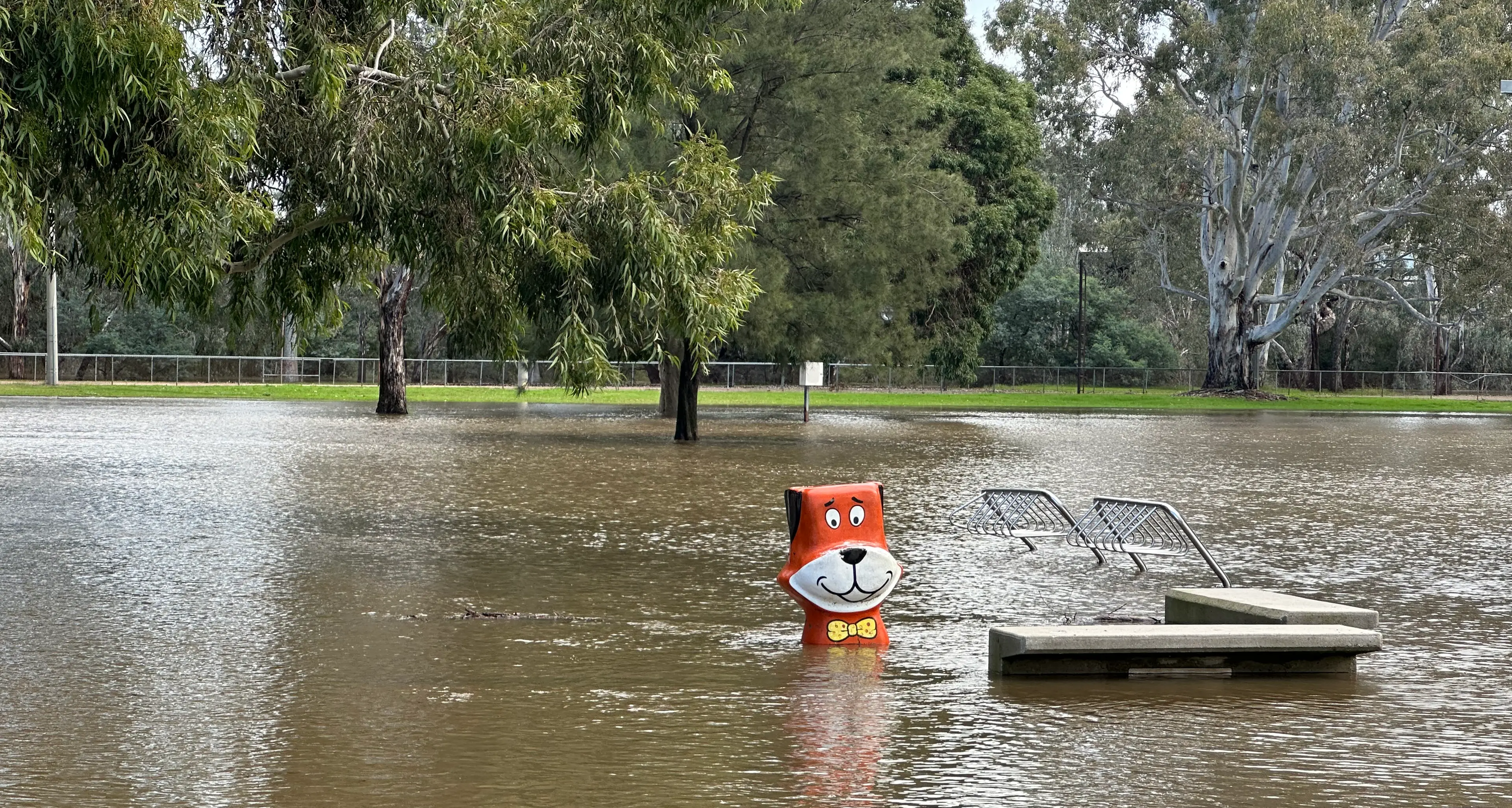 Yogi submerged, major flood warning for King River