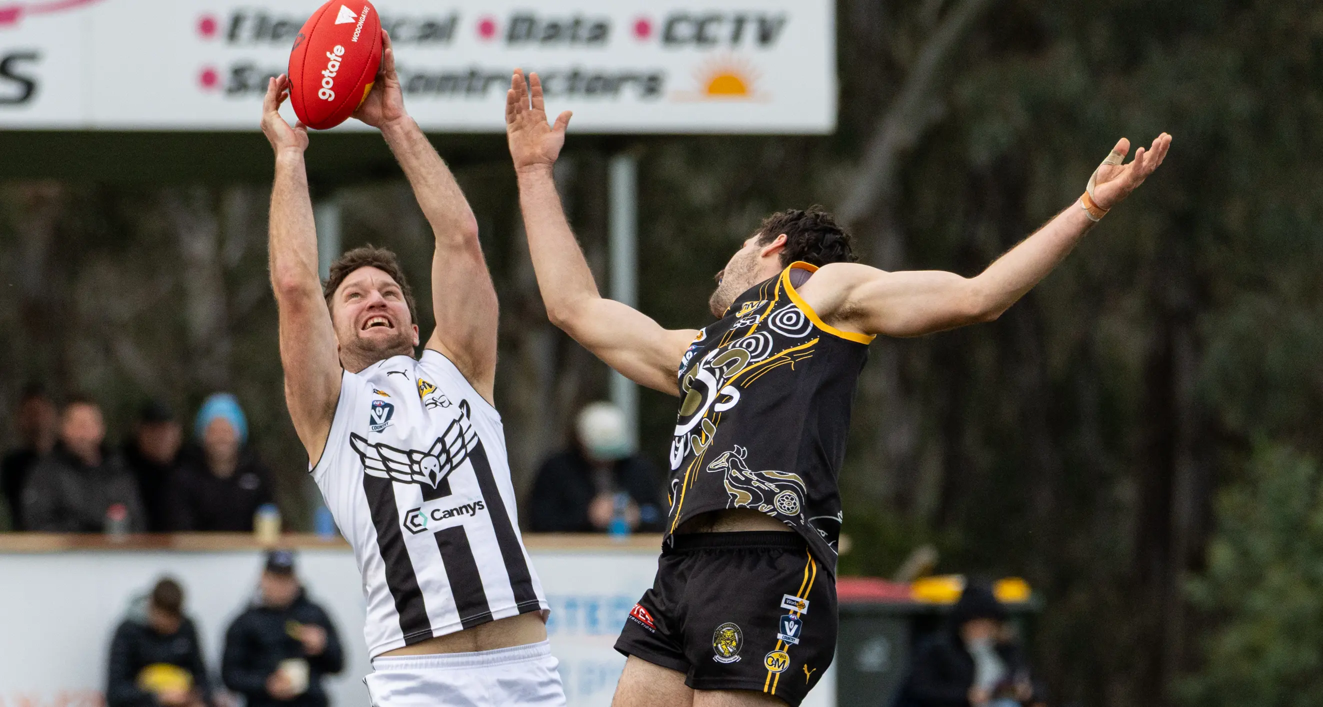McClounan boots six as ‘Pies run over Tigers