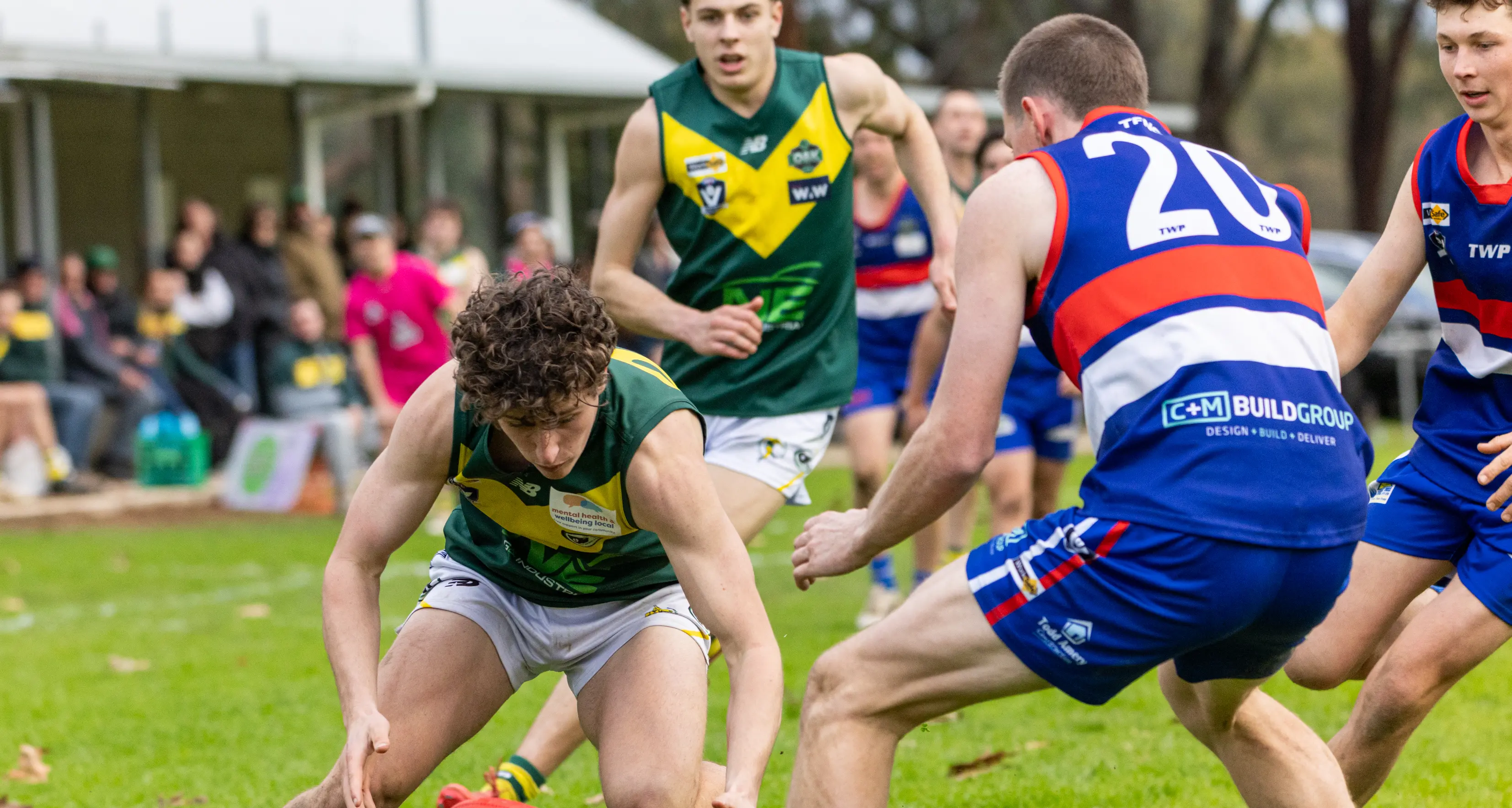 Premature ending to Hoppers-Dogs clash