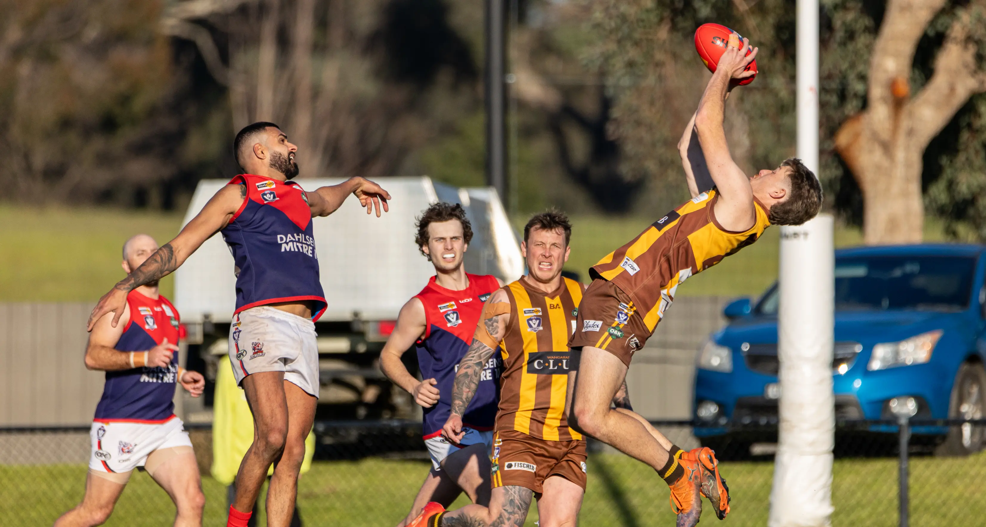 North Wangaratta belt Demons, on pace for top-three finish