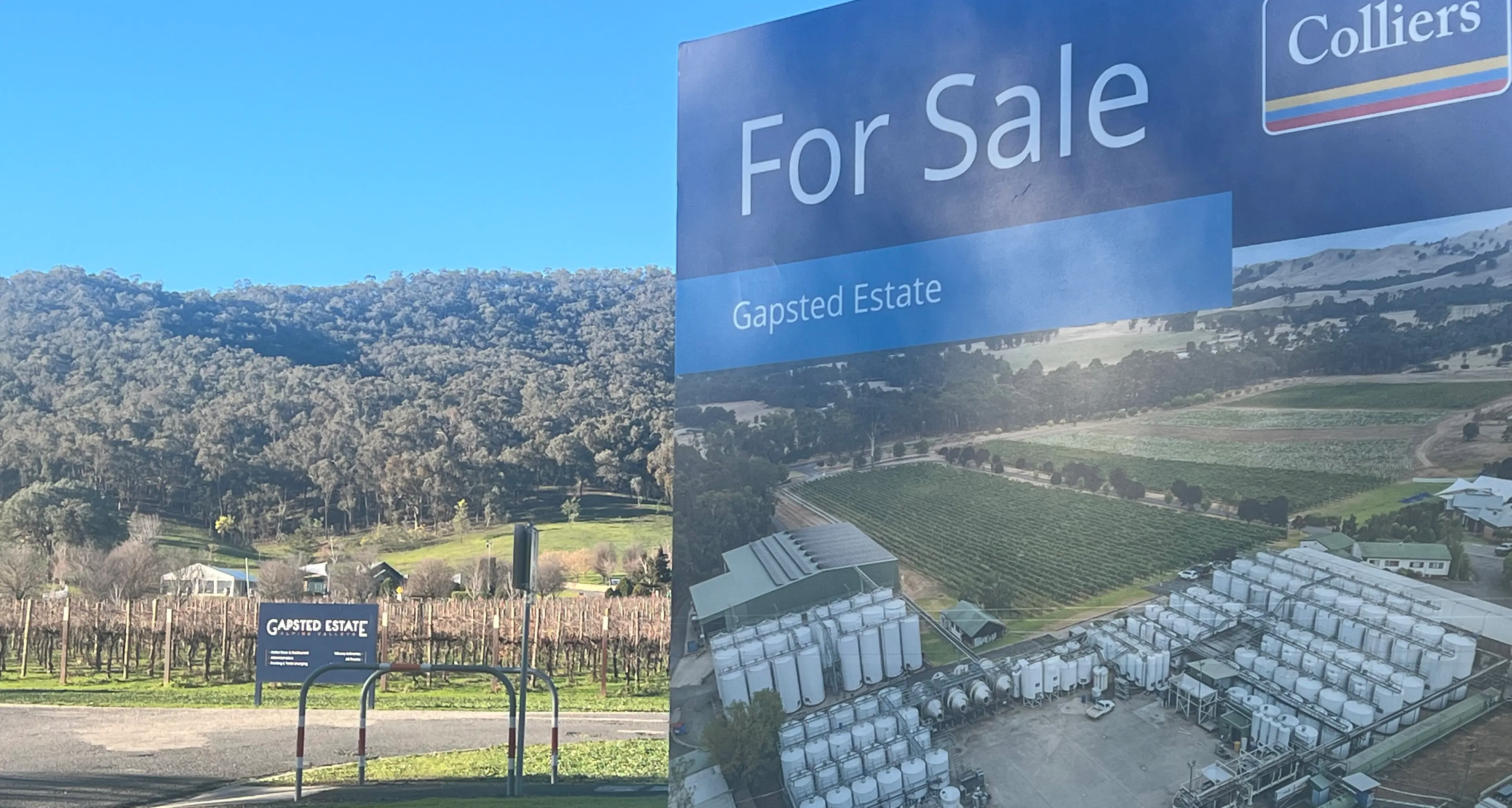 Winery future hope