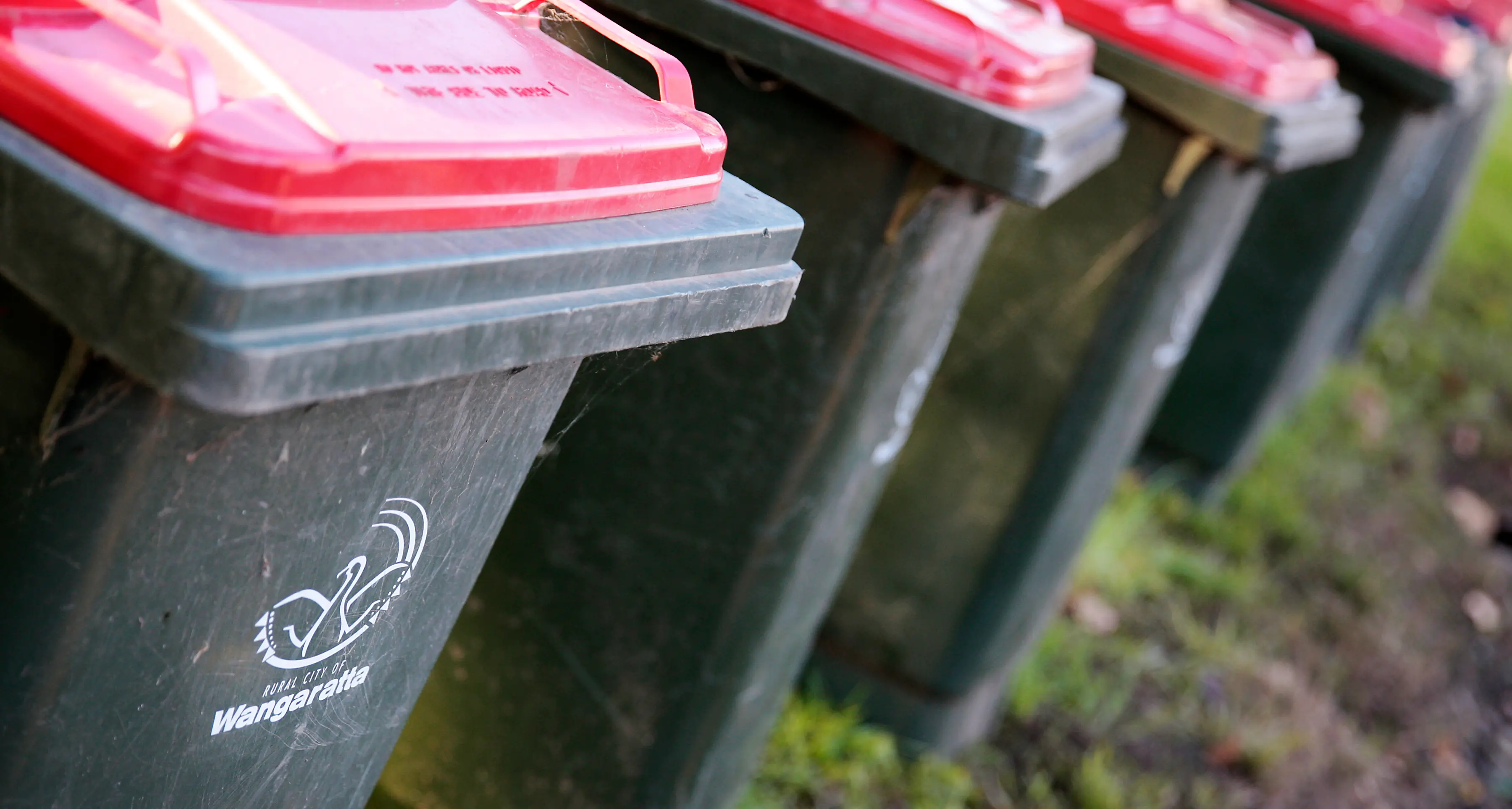 Weekly return for red-lid bin: Coalition