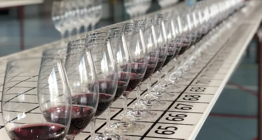 Wine uncorked for judging
