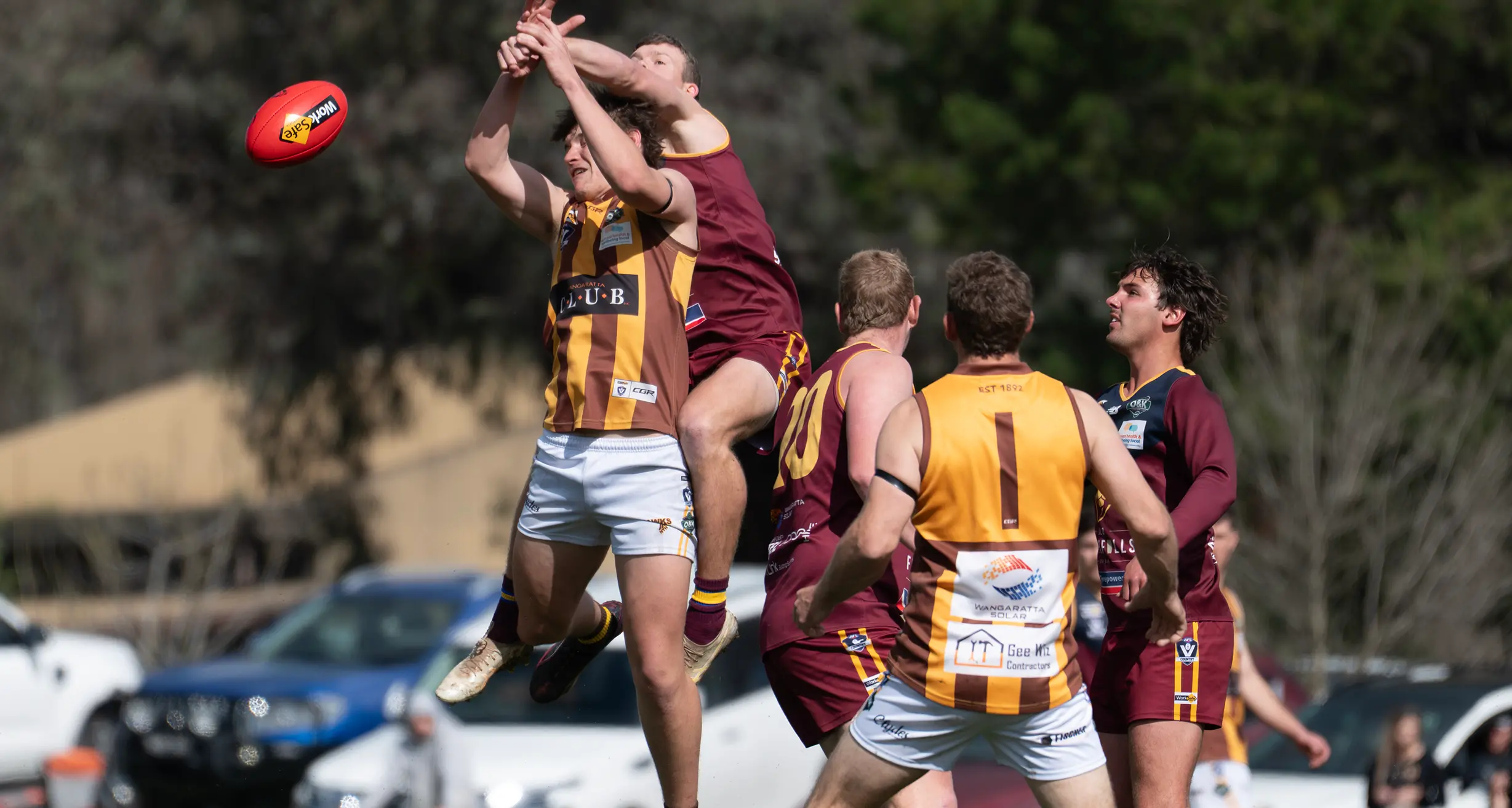 Lions roar into decider
