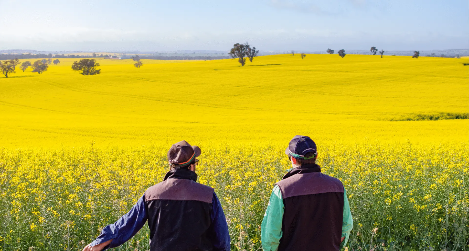 BOM’s winter rainfall call missed and what spring has in store