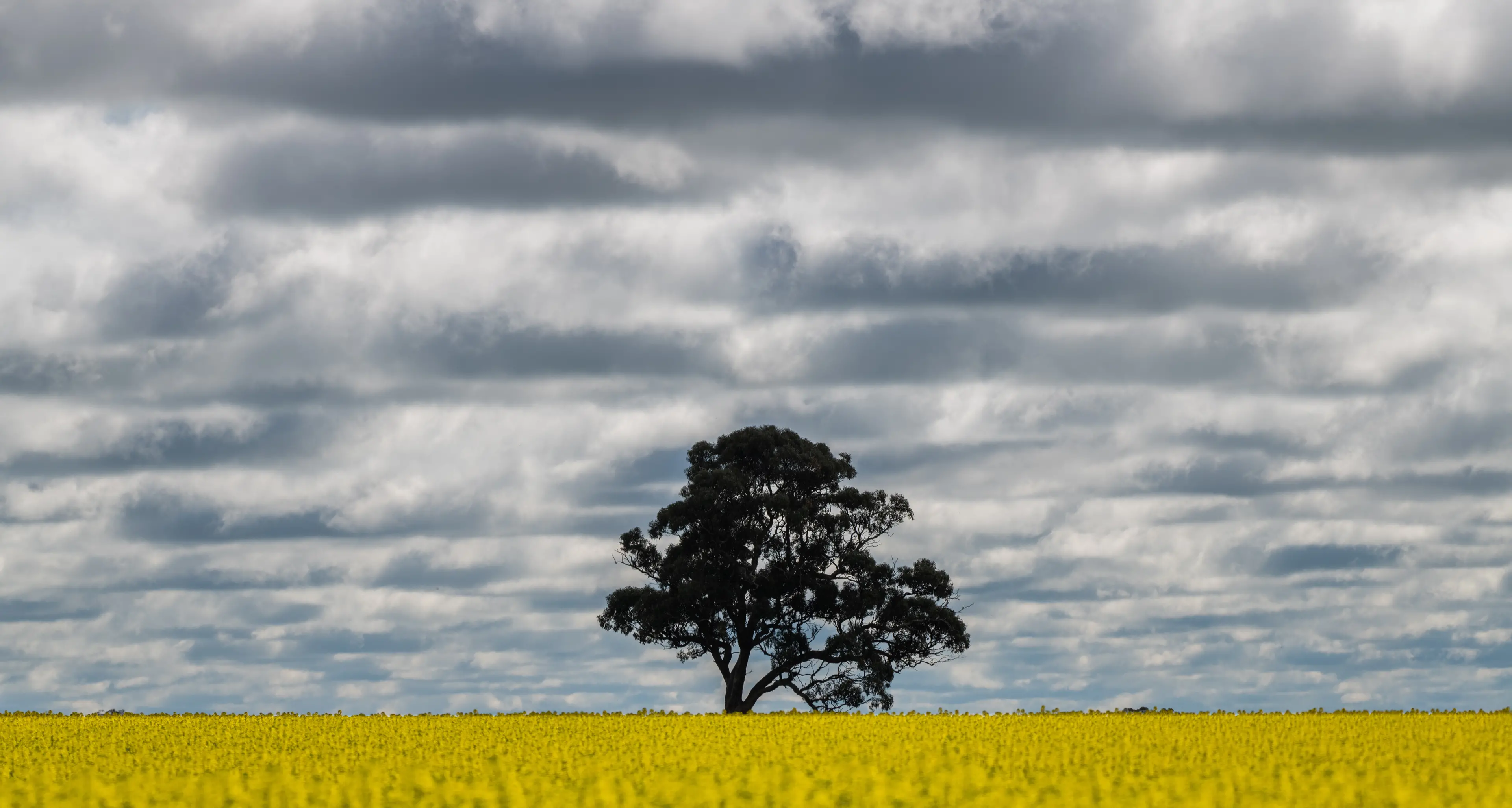 Stay ahead of spring storms