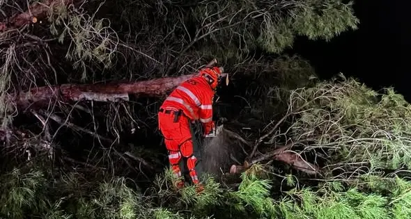 Turbulent weather strikes Narrandera