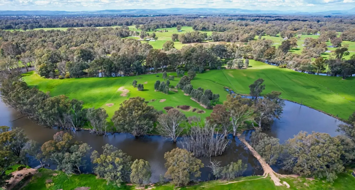 New riverside community takes shape on the King River