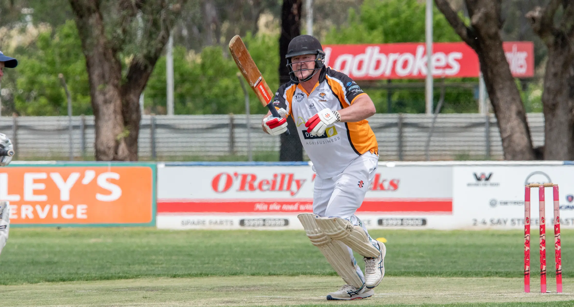 Stimson stars in Tigers triumph